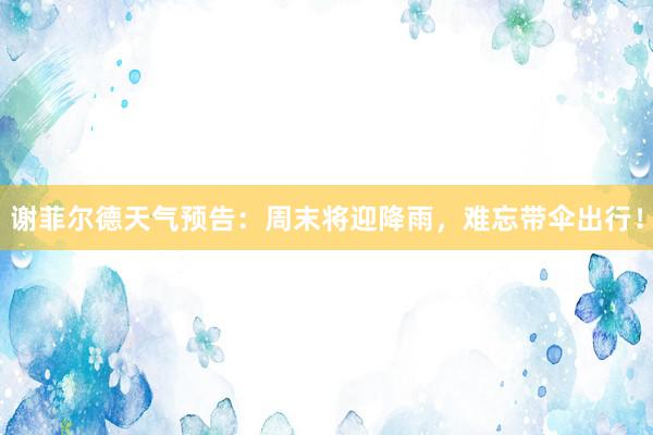 谢菲尔德天气预告：周末将迎降雨，难忘带伞出行！
